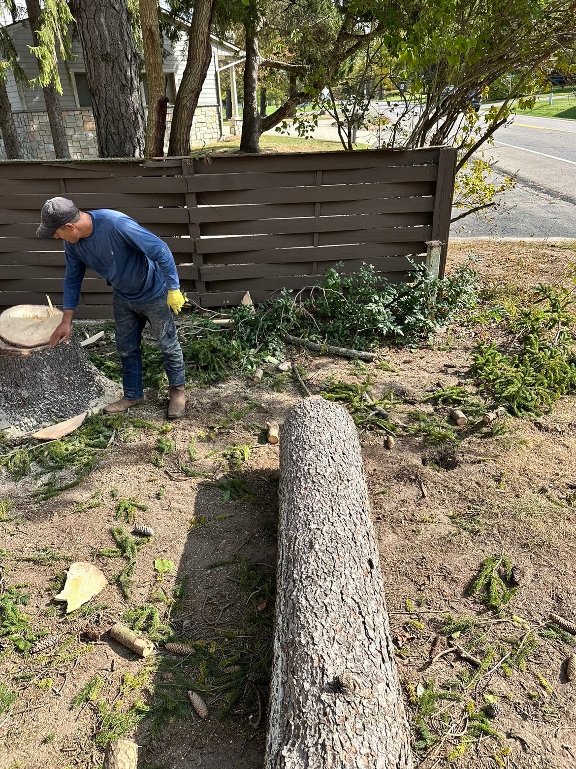 Ground crew supporting a residential tree removal project